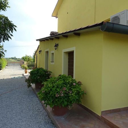 Appartamento Podere I Renai Santa Maria a Monte Екстериор снимка